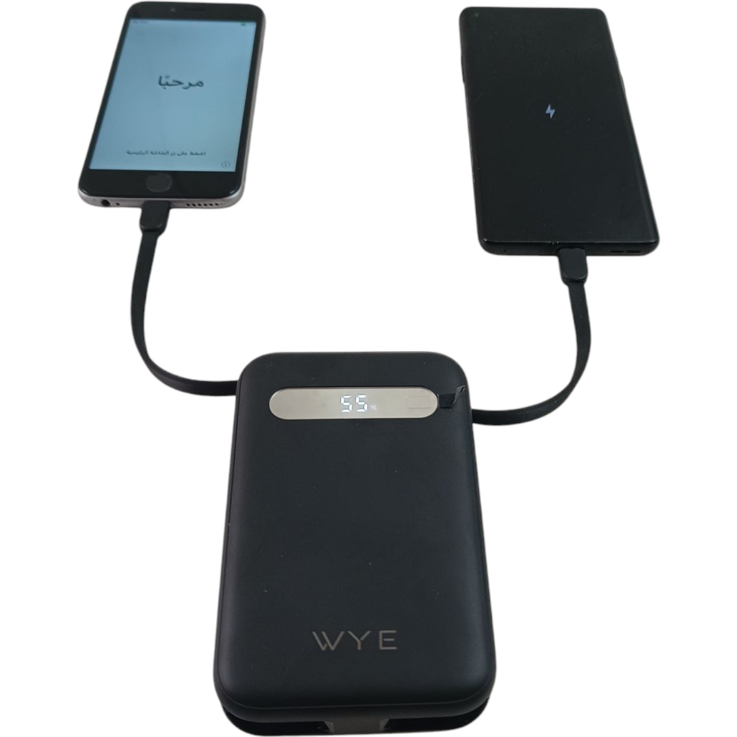 WYEFLUX  Fast Charging Power Bank With 2 Built In Cables